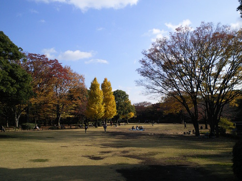 f0117673_17495024.jpg