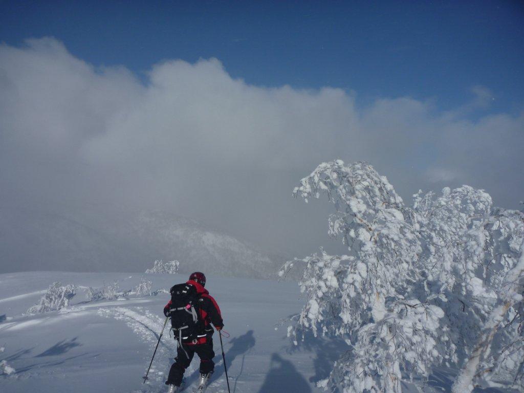 朝里岳沢川～白井岳（1302㍍）滑降＝2012年12月24日_a0141678_20443365.jpg