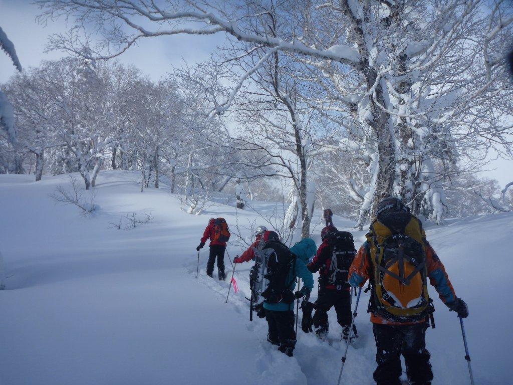 朝里岳沢川～白井岳（1302㍍）滑降＝2012年12月24日_a0141678_20451684.jpg