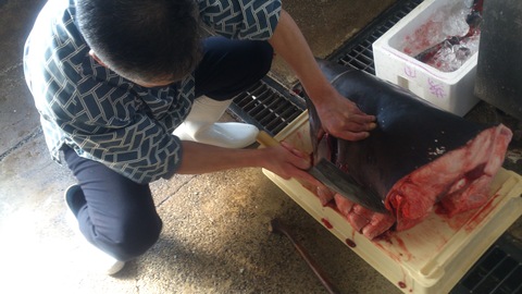 ジョージが「煮こごり」になった?_d0182179_18121792.jpg