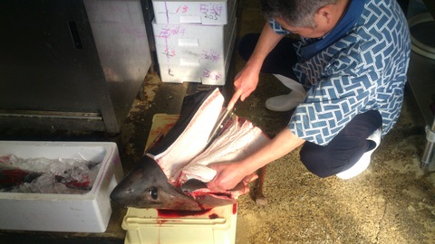 ジョージが「煮こごり」になった?_d0182179_18142974.jpg