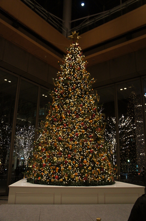 f0062680_135518.jpg