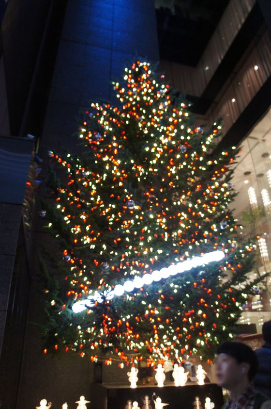 f0062680_2112350.jpg