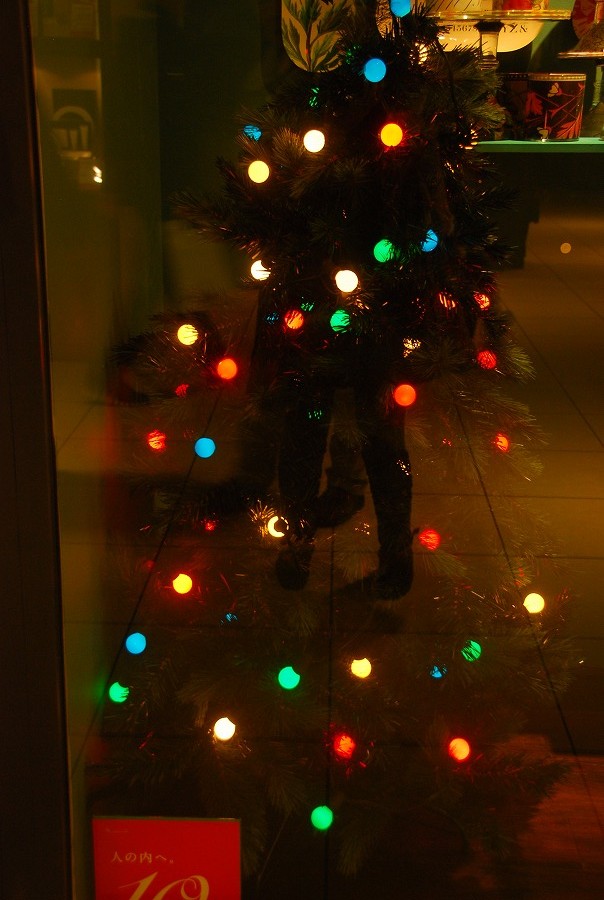 クリスマス_c0187781_14373623.jpg