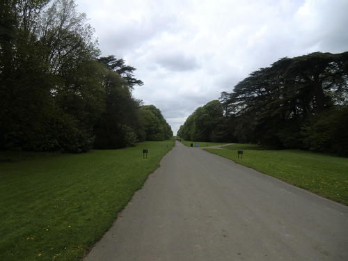 b0214184_9492394.jpg