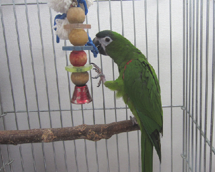 f0234590_1152867.png