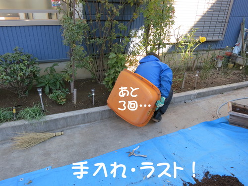 クリスマス・イヴ ♪ 手入れ！_b0200291_2005014.jpg