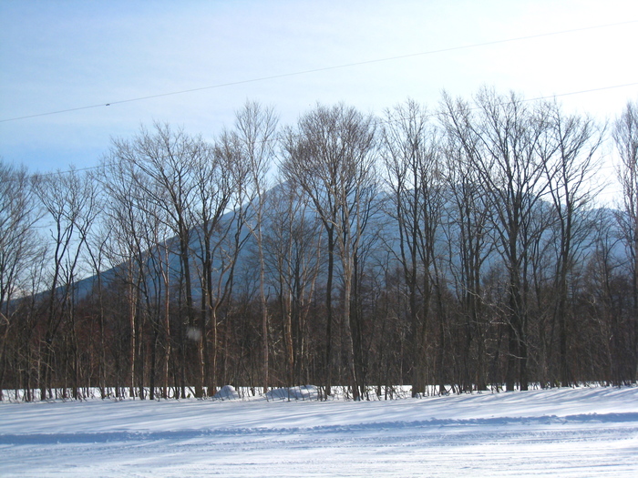d0077992_1742629.jpg