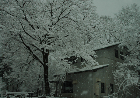 d0234293_19541886.jpg