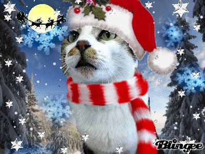 クリスマス イブ くらしのギャラリーちぐさ クリスマス イブ くらしのギャラリーちぐさ