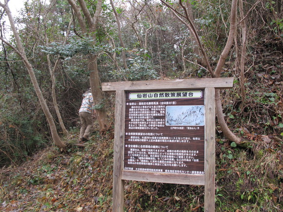 a0166196_1865532.jpg