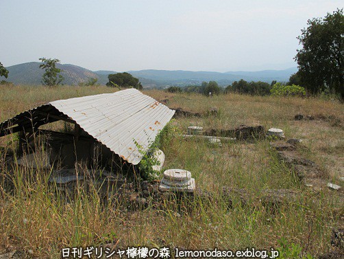 c0010496_0414928.jpg
