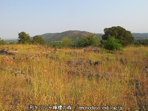 c0010496_0542671.jpg