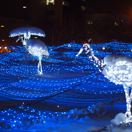 2012　Sapporo White Illumination _f0003598_1213877.jpg