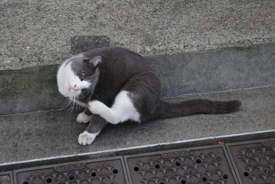 b0017899_96119.jpg