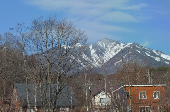 a0288500_1935331.jpg
