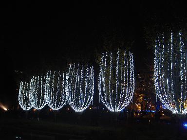 f0030500_1185794.jpg
