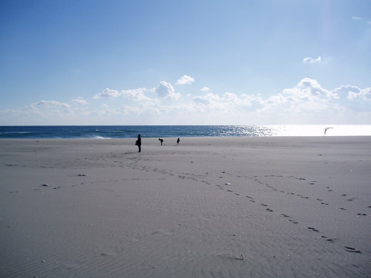 c0183801_7312658.jpg