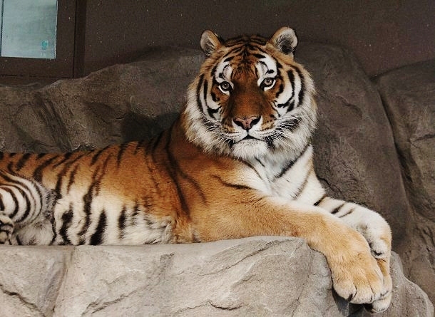 c0155902_2212158.jpg