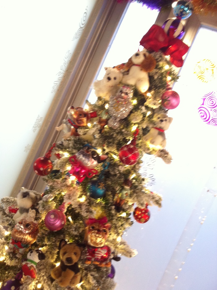 クリスマスハットのプチケーキ ☆ Buon natale a Tutti!_b0246303_126277.jpg