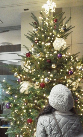 a0134004_2253565.jpg