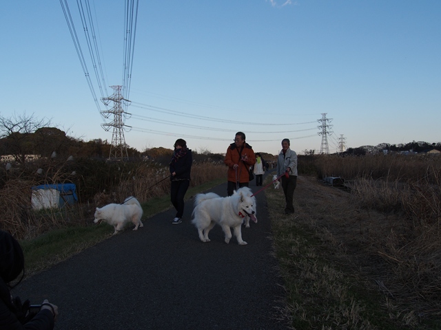 クリスマス　お散歩編　　　１２月２４日　「土]_e0018604_191881.jpg