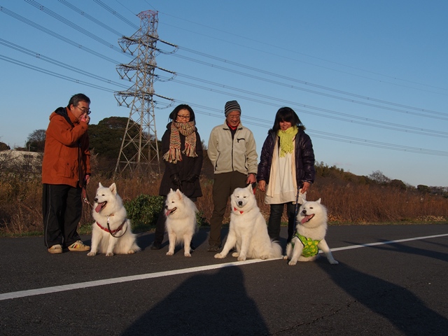 クリスマス　お散歩編　　　１２月２４日　「土]_e0018604_19211348.jpg