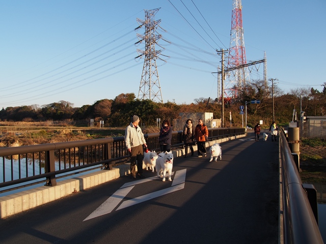 クリスマス　お散歩編　　　１２月２４日　「土]_e0018604_19232126.jpg