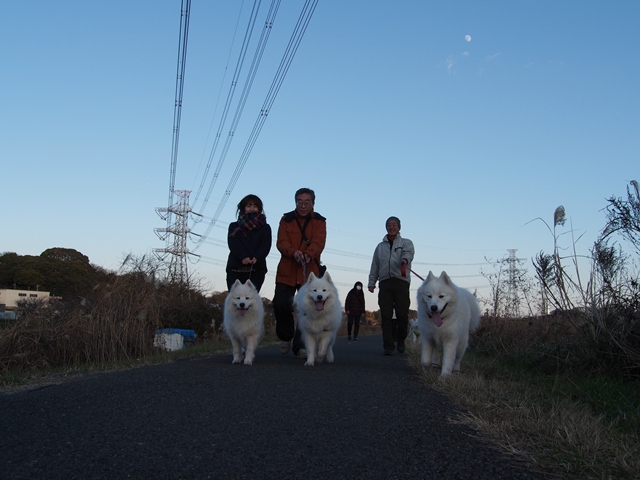 クリスマス　お散歩編　　　１２月２４日　「土]_e0018604_1926511.jpg