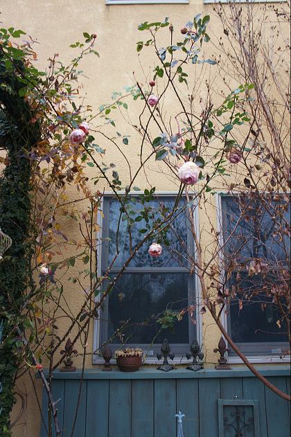 f0065604_20121234.jpg