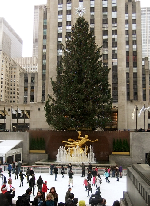 クリスマスのNY、ロックフェラーセンターのツリーとリンクとサンタさん_b0007805_1465532.jpg