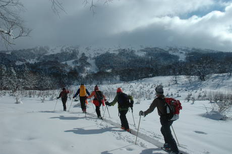 粉雪病の季節、やはり楽しむのは北海道だ。2011年2月の羊蹄山は最高だった。_c0242406_21562317.jpg