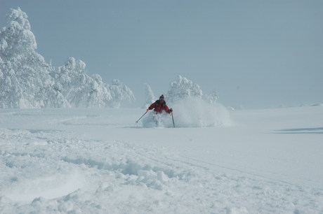 粉雪病の季節、やはり楽しむのは北海道だ。2011年2月の羊蹄山は最高だった。_c0242406_2202779.jpg