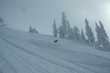 粉雪病の季節、やはり楽しむのは北海道だ。2011年2月の羊蹄山は最高だった。_c0242406_22113289.jpg