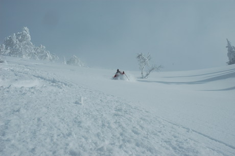 粉雪病の季節、やはり楽しむのは北海道だ。2011年2月の羊蹄山は最高だった。_c0242406_221275.jpg