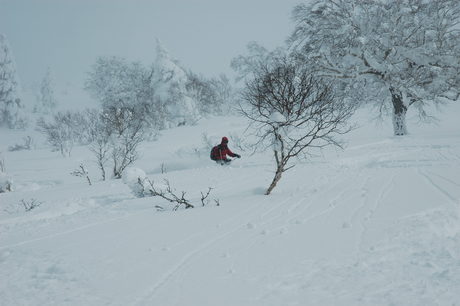 粉雪病の季節、やはり楽しむのは北海道だ。2011年2月の羊蹄山は最高だった。_c0242406_2214155.jpg