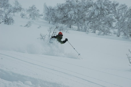 粉雪病の季節、やはり楽しむのは北海道だ。2011年2月の羊蹄山は最高だった。_c0242406_22142432.jpg