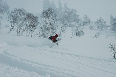 粉雪病の季節、やはり楽しむのは北海道だ。2011年2月の羊蹄山は最高だった。_c0242406_22144781.jpg