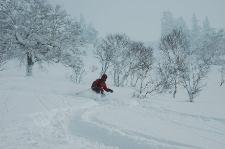 粉雪病の季節、やはり楽しむのは北海道だ。2011年2月の羊蹄山は最高だった。_c0242406_22145734.jpg