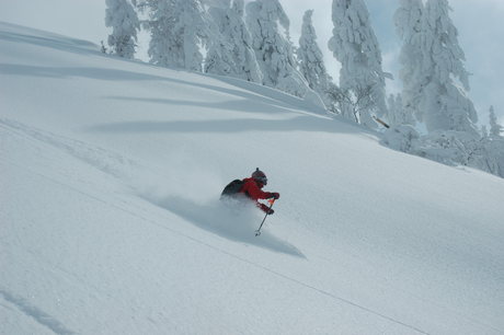 粉雪病の季節、やはり楽しむのは北海道だ。2011年2月の羊蹄山は最高だった。_c0242406_2214948.jpg