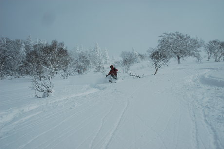 粉雪病の季節、やはり楽しむのは北海道だ。2011年2月の羊蹄山は最高だった。_c0242406_22152998.jpg