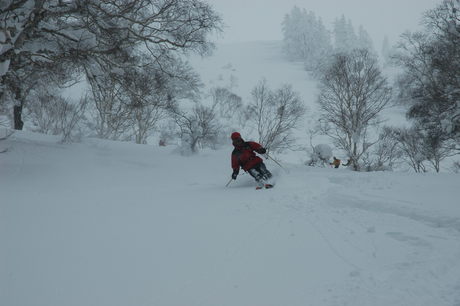 粉雪病の季節、やはり楽しむのは北海道だ。2011年2月の羊蹄山は最高だった。_c0242406_22235865.jpg