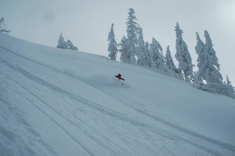 粉雪病の季節、やはり楽しむのは北海道だ。2011年2月の羊蹄山は最高だった。_c0242406_2225821.jpg