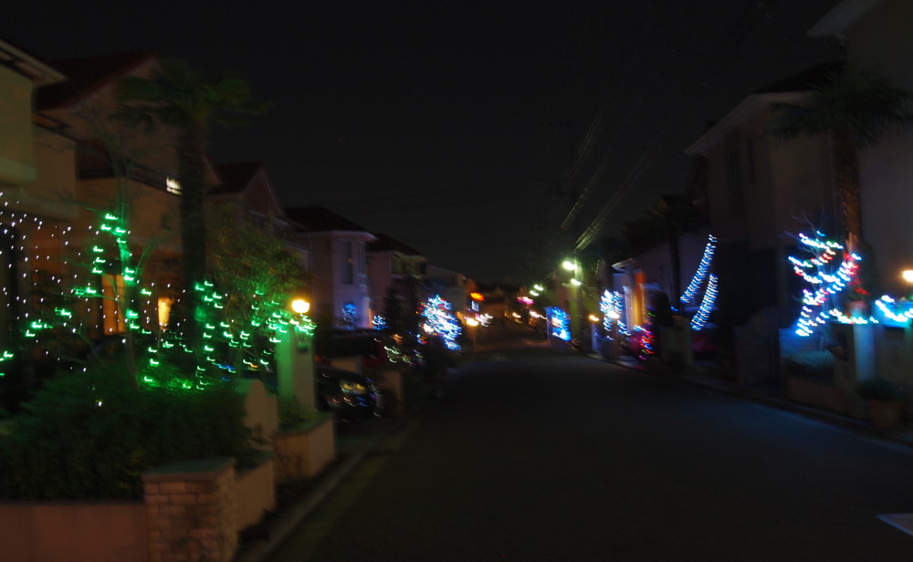 e0131506_19221966.jpg