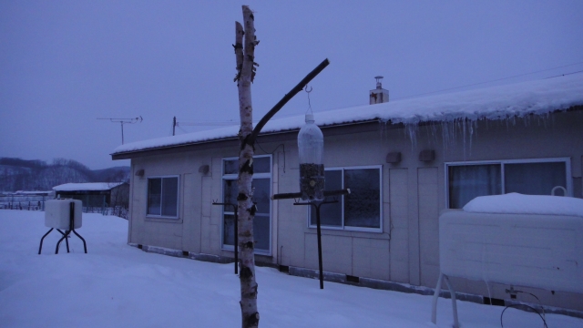 d0051707_2175719.jpg