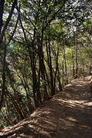 a0242809_2355068.jpg