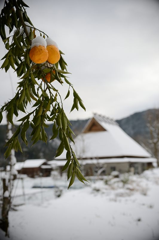 美山茅葺きの里 初雪撮影!・其の一_f0032011_19391761.jpg