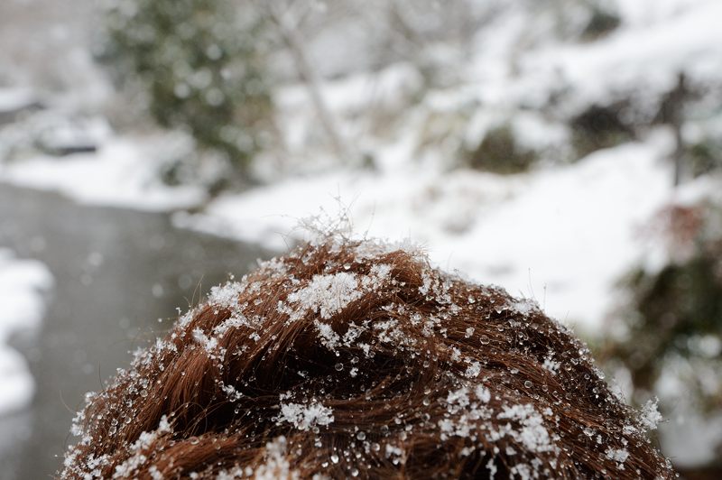 美山茅葺きの里 初雪撮影!・其の一_f0032011_19424341.jpg