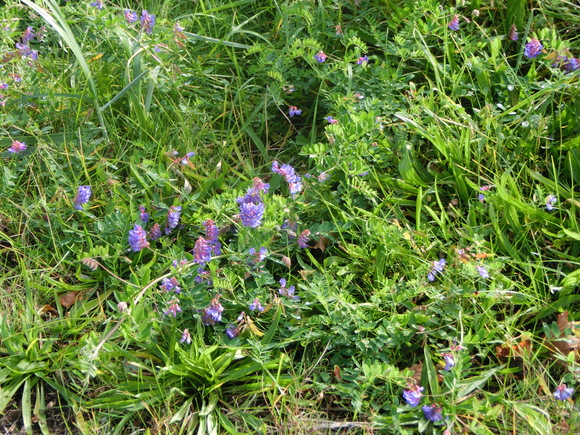 d0136122_21183818.jpg