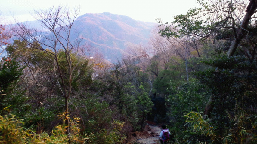 六甲全山縦走　再び（須磨浦公園～宝塚）_a0036424_12411337.jpg